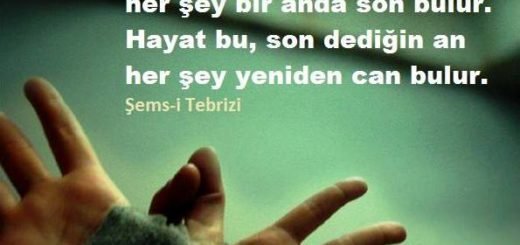 Hayata Dair Sözler ve Özdeyişler Hayata Dair Sözler ve Özdeyişler