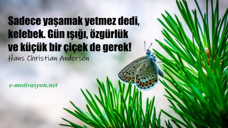 "Sadece yaşamak yetmez dedi, kelebek. Gün ışığı, özgürlük ve küçük bir çiçek de gerek!" Hans Christian Andersen